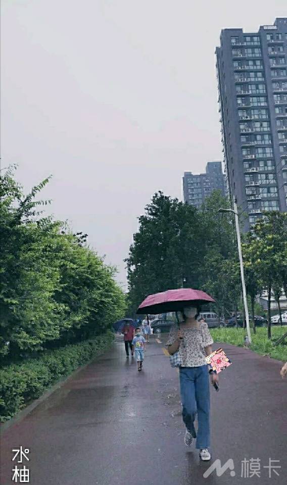 作品图片