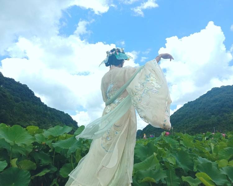 艺人背景图