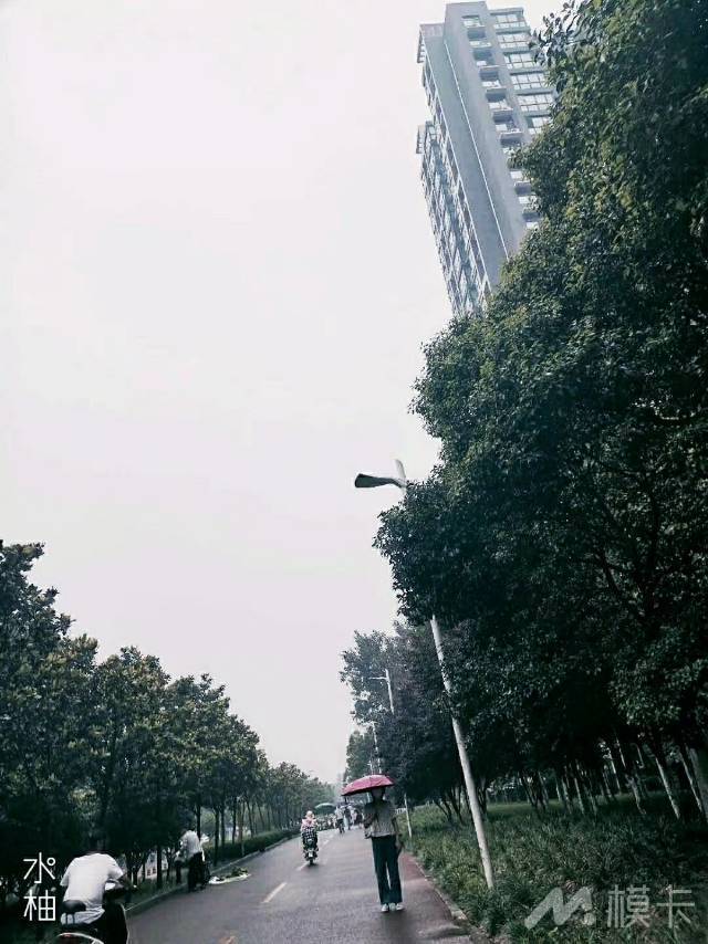 作品图片