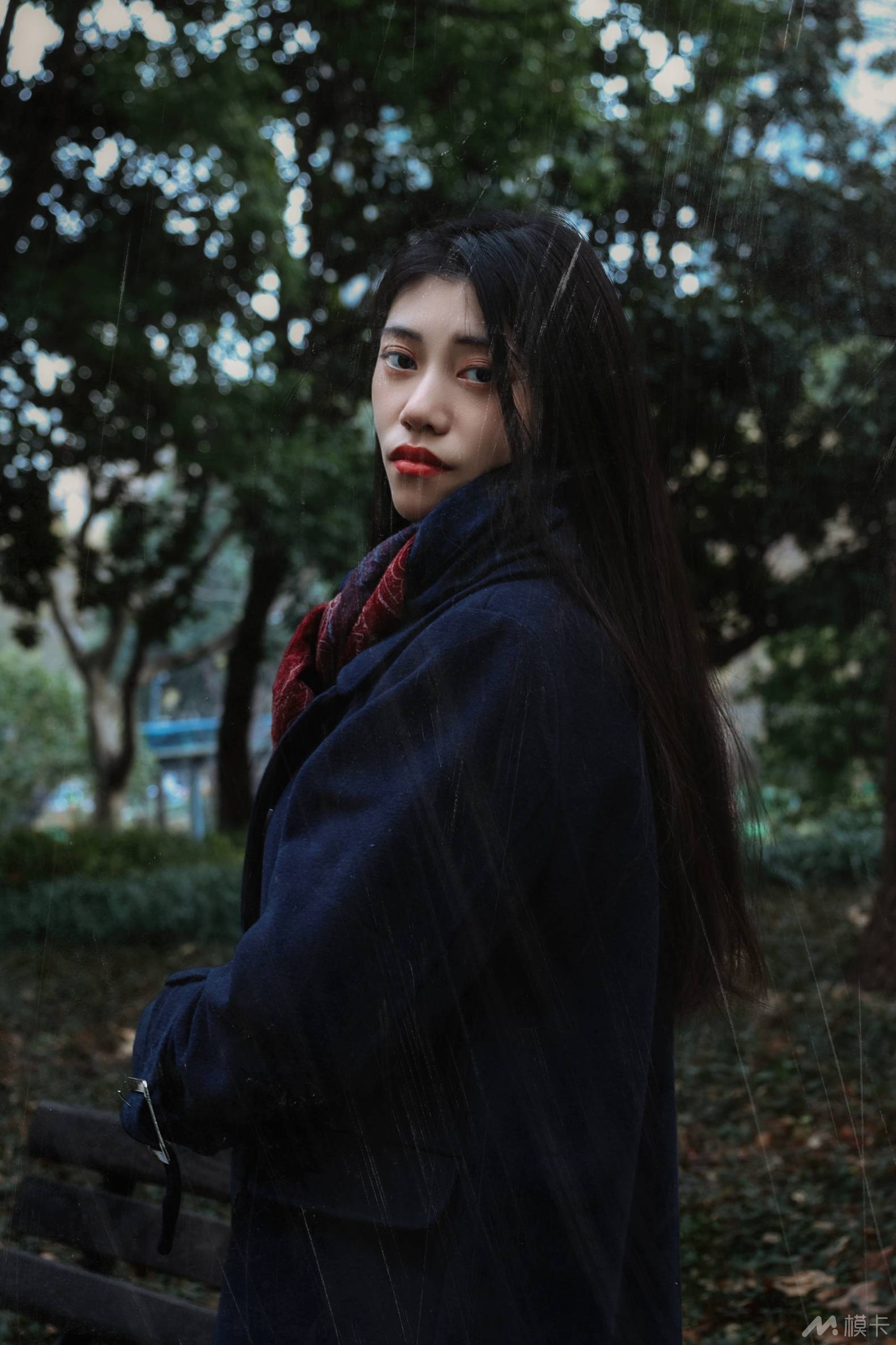 作品图片