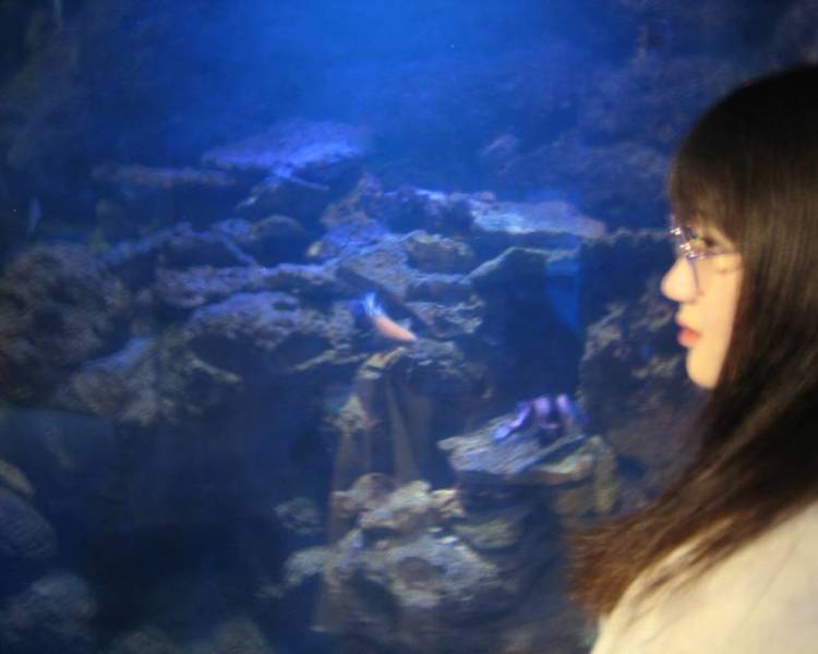 艺人背景图