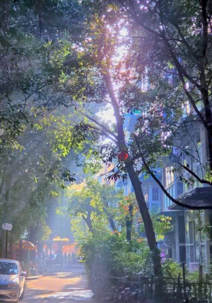 形象照片