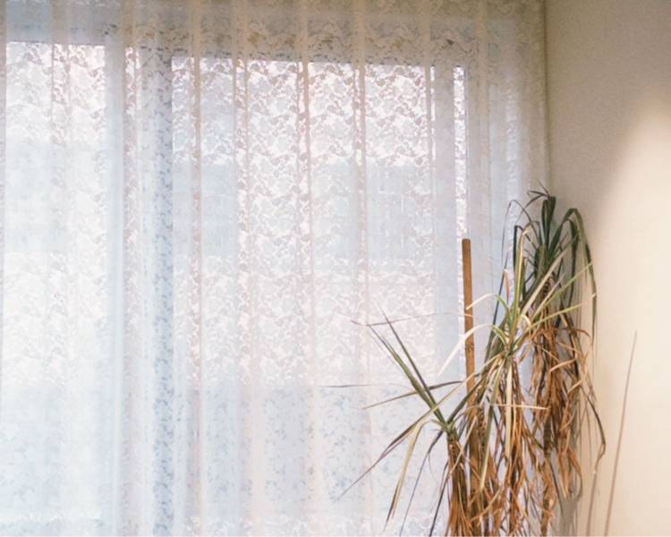 艺人背景图
