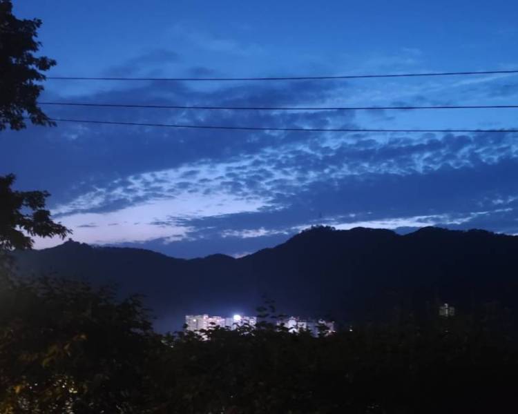 艺人背景图