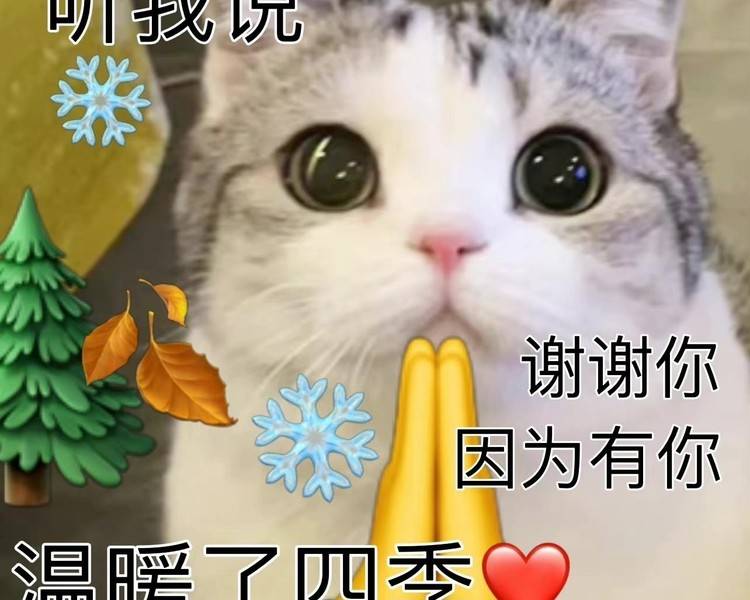 艺人背景图