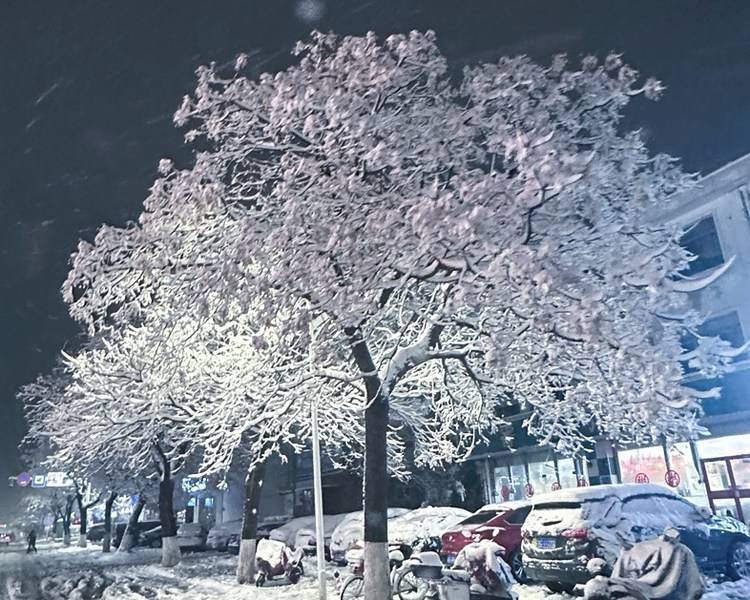 艺人背景图