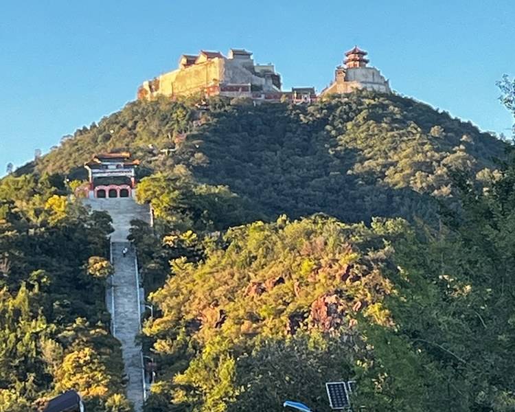艺人背景图
