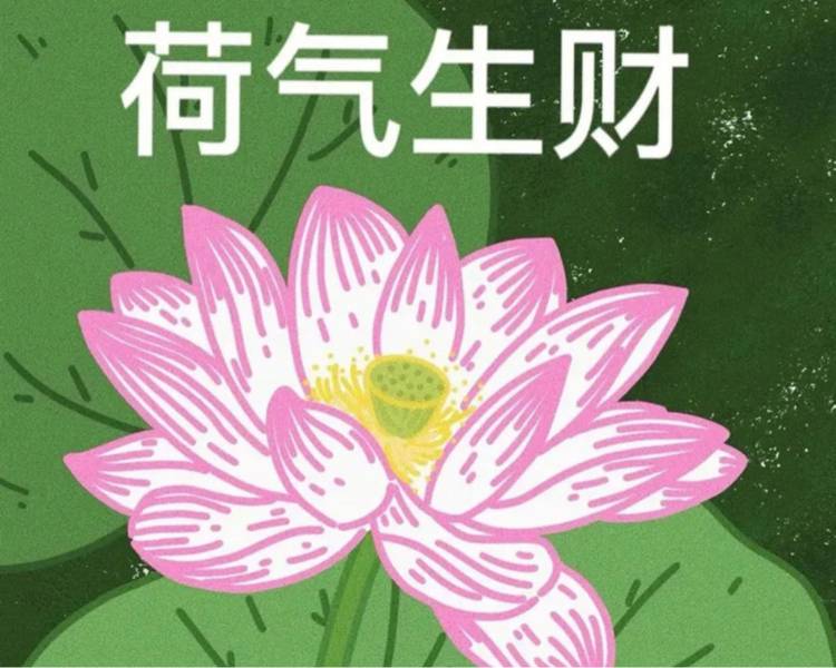 艺人背景图