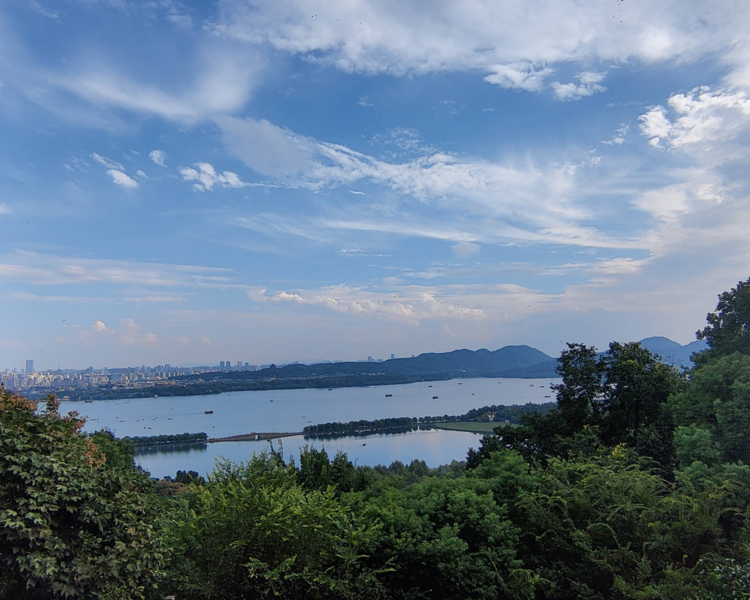 艺人背景图