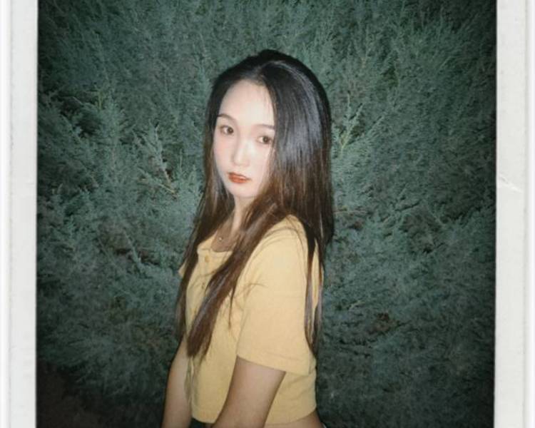 艺人背景图