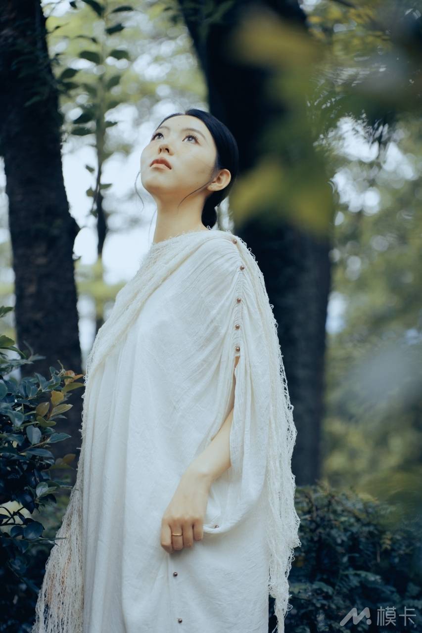 作品图片