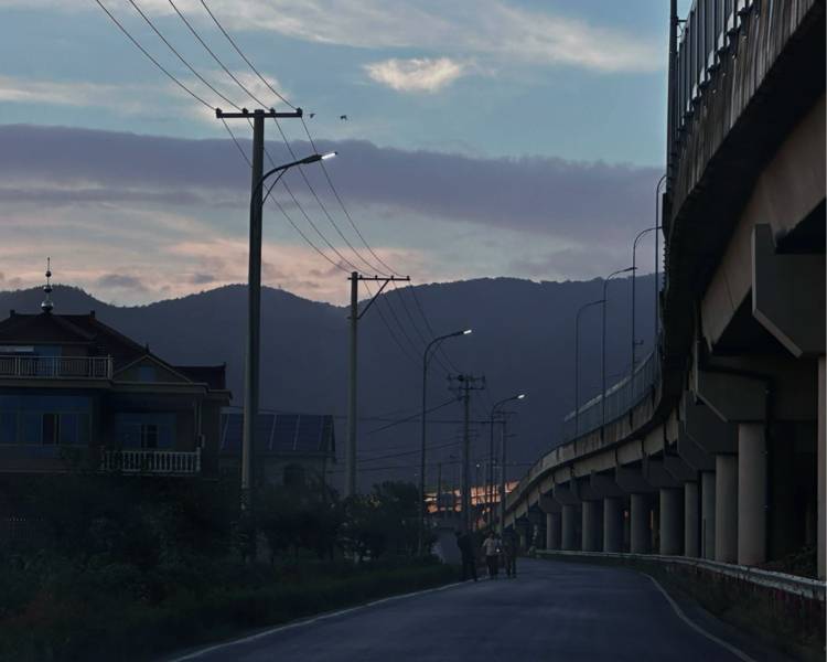 艺人背景图