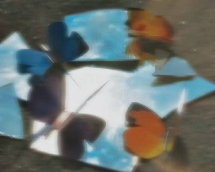 艺人背景图