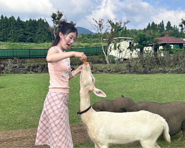 艺人背景图