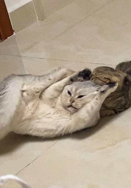 推荐艺人