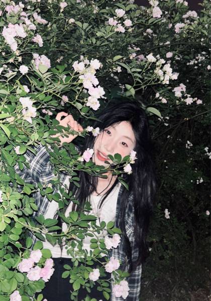 推荐艺人