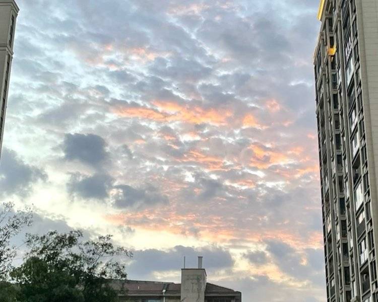 艺人背景图