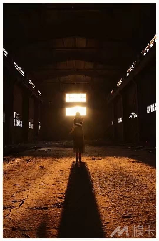 作品图片