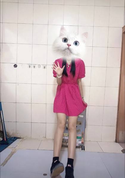 推荐艺人