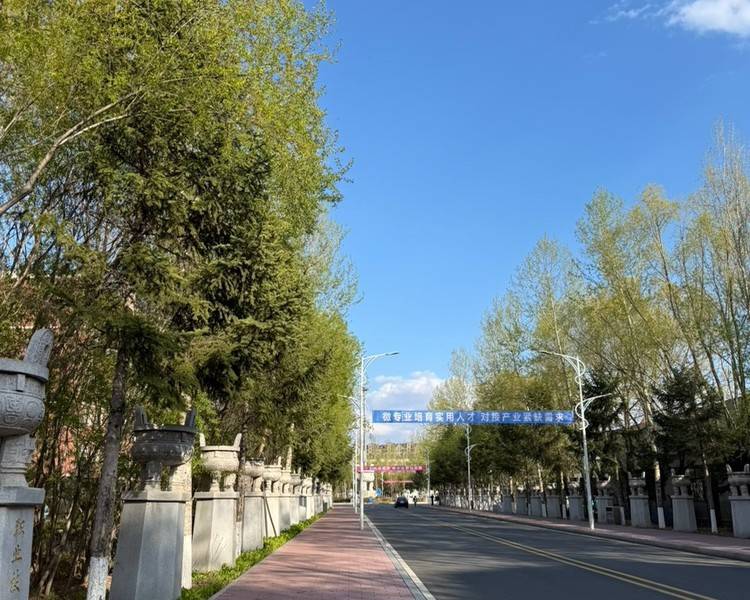 艺人背景图