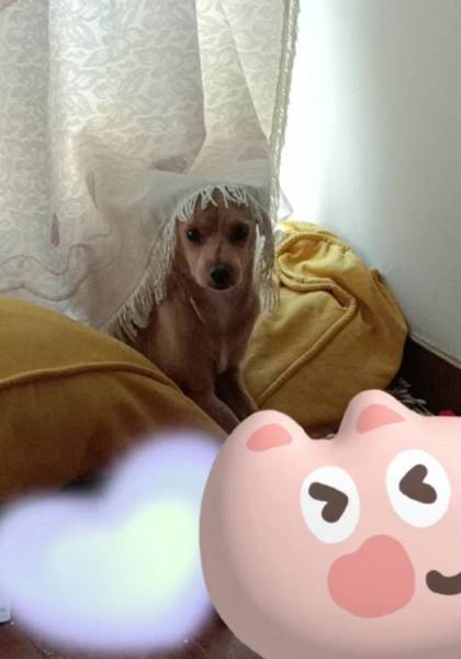 推荐艺人