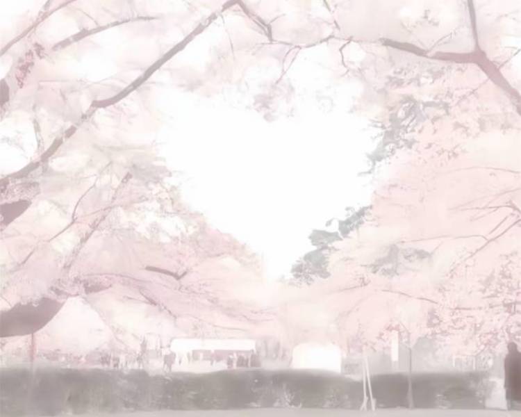 艺人背景图