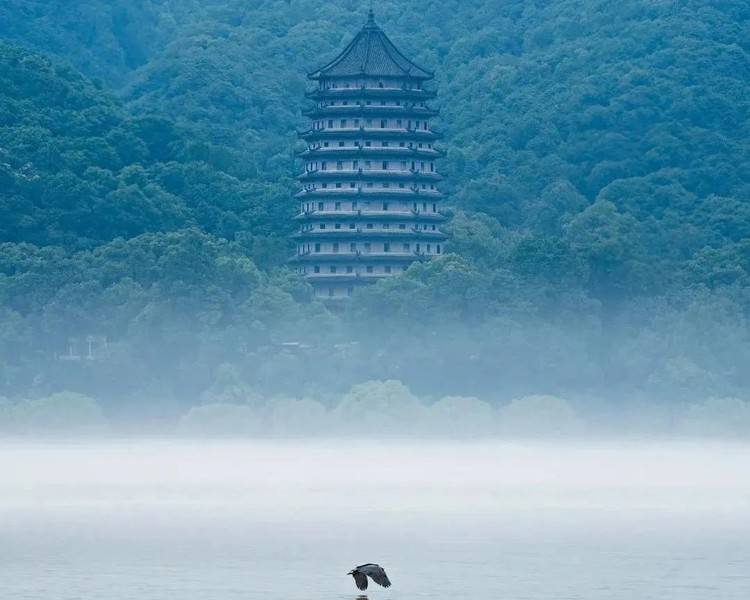 艺人背景图