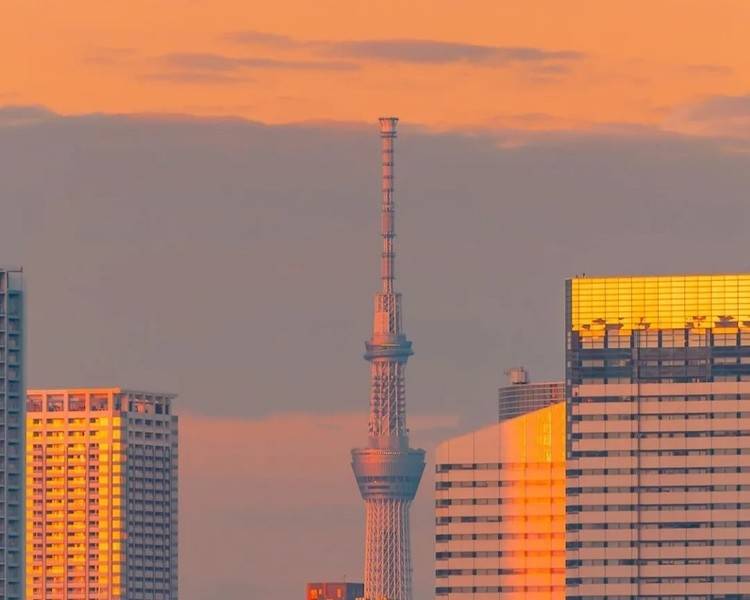 艺人背景图