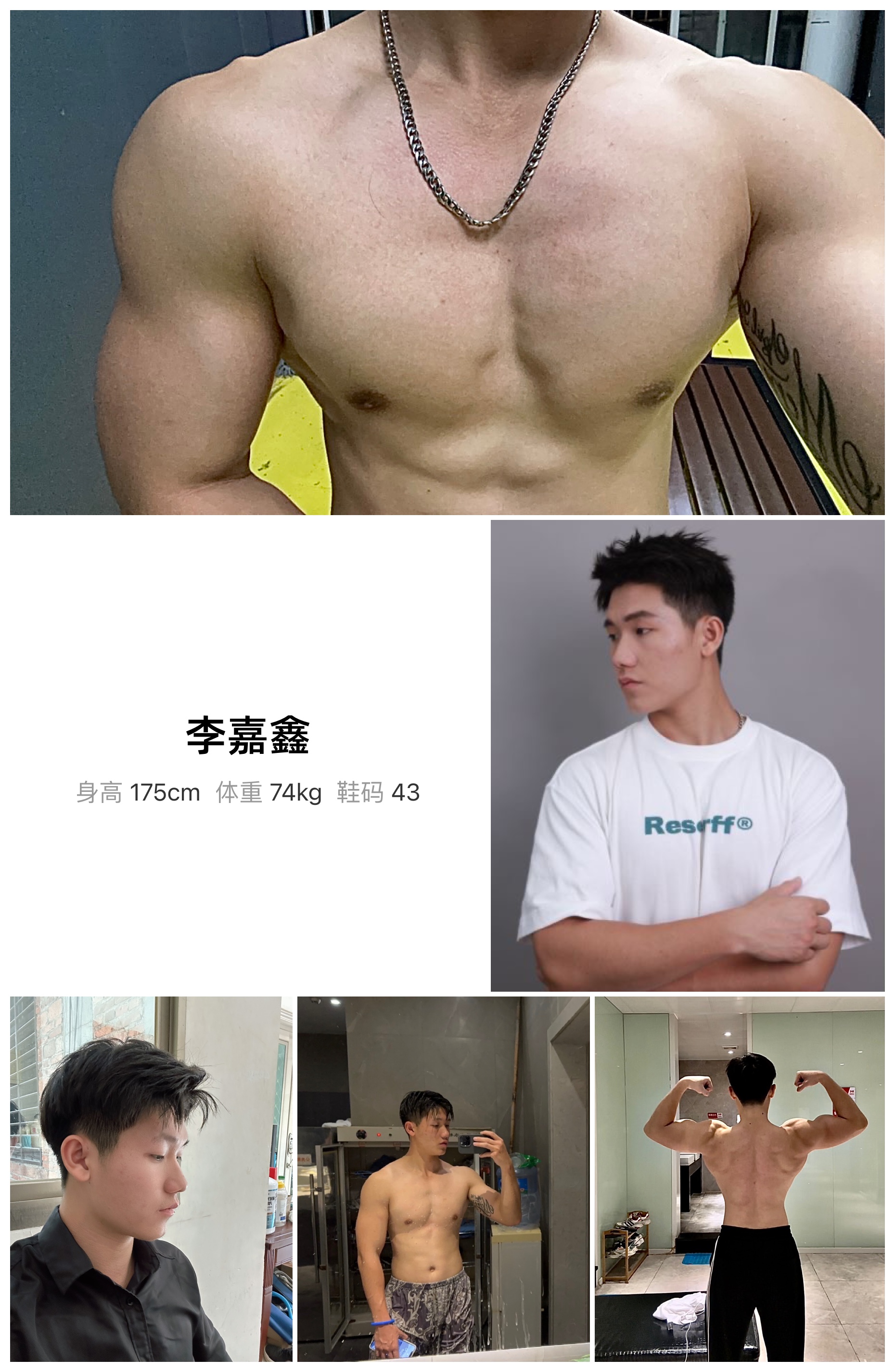 模卡