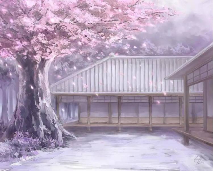 艺人背景图