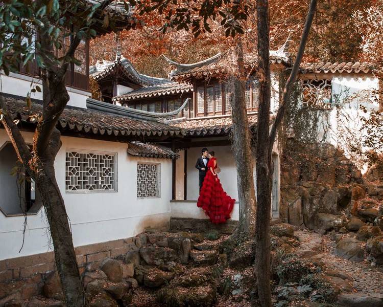 艺人背景图