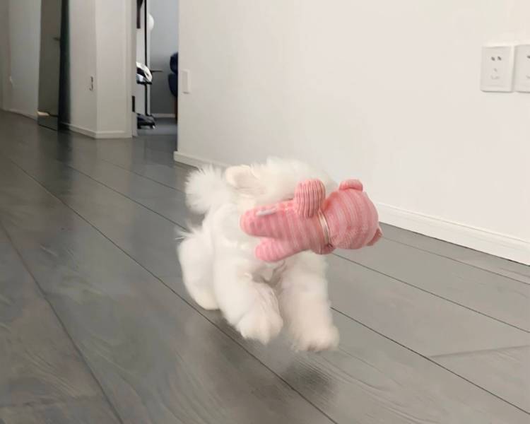 艺人背景图