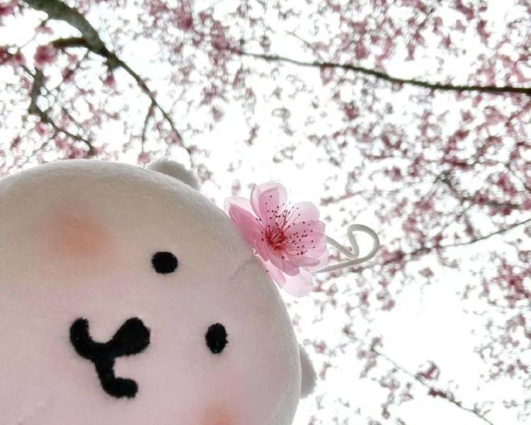 艺人背景图