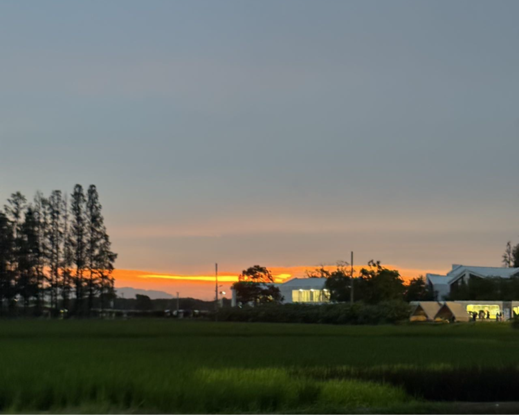艺人背景图