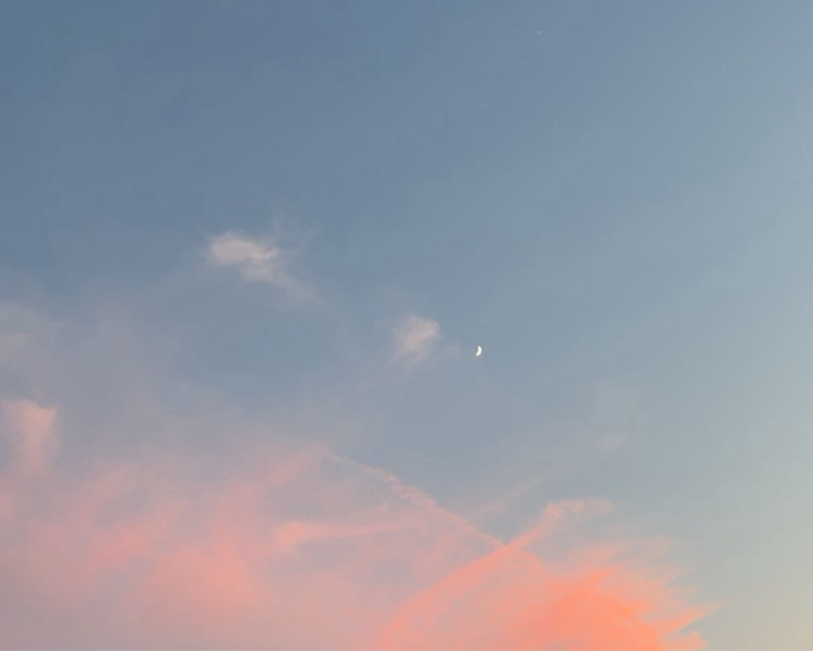 艺人背景图