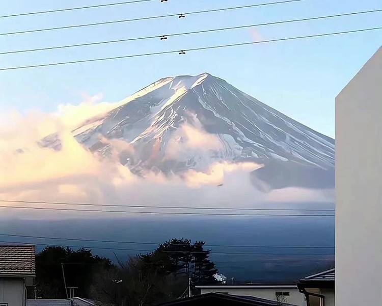 艺人背景图