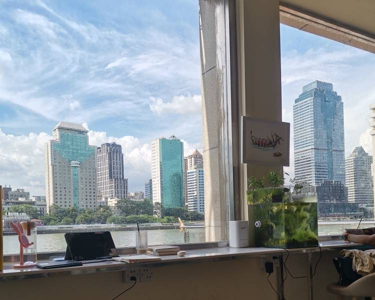 艺人背景图