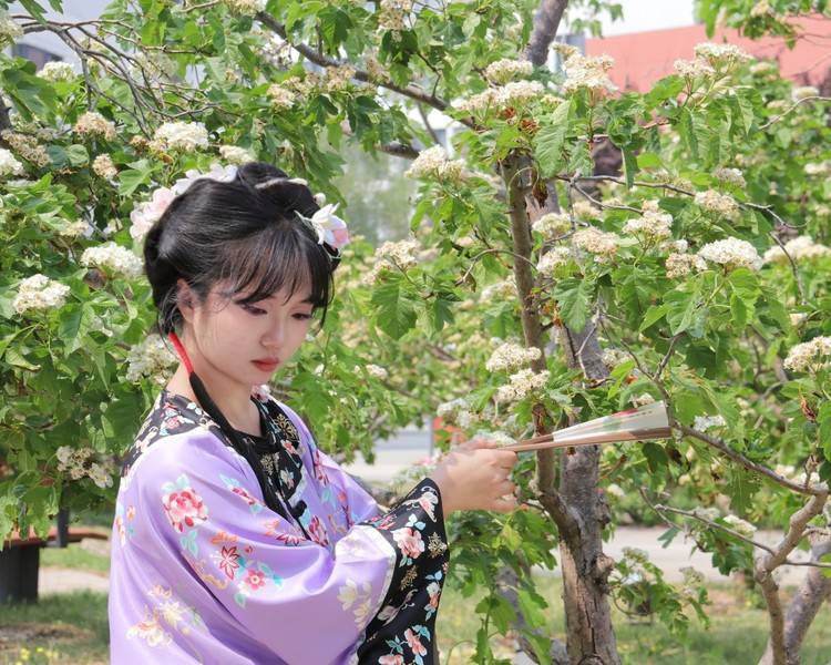 艺人背景图
