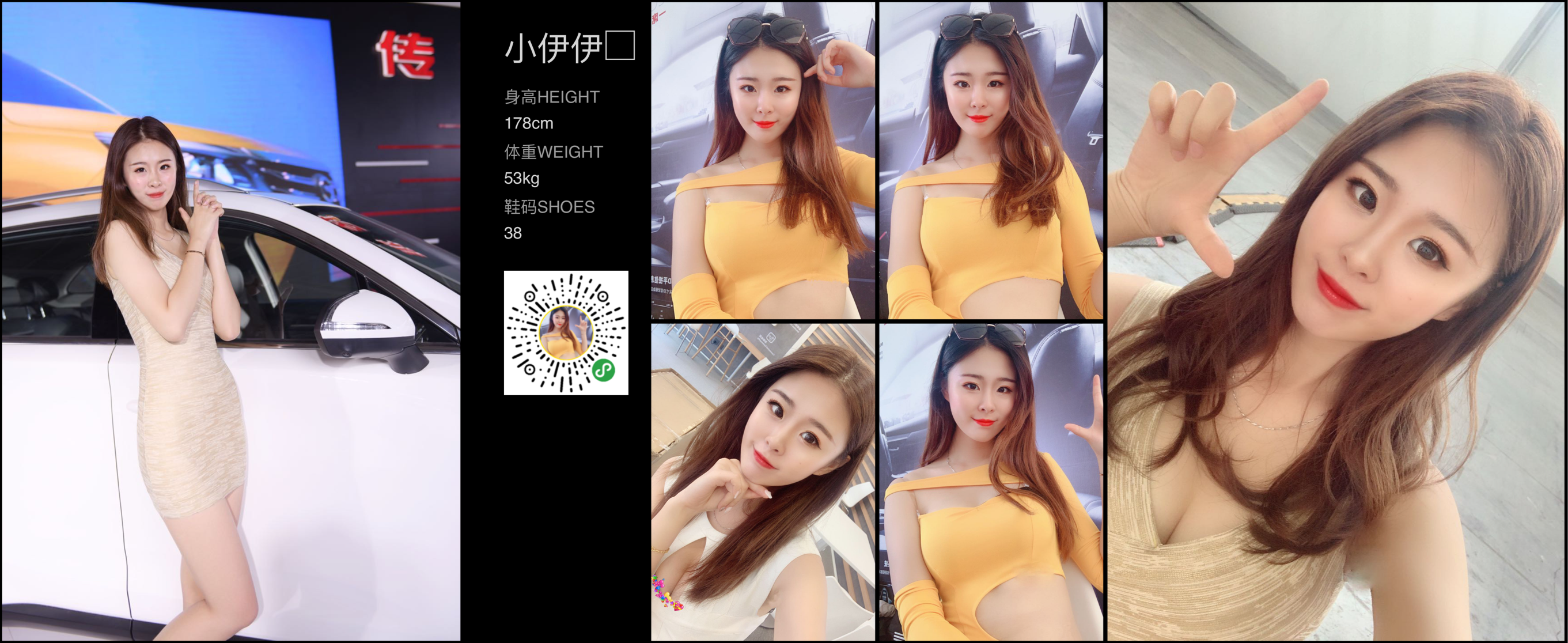 模卡