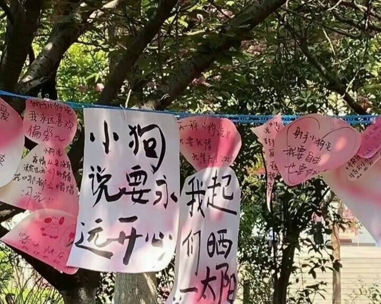 艺人背景图