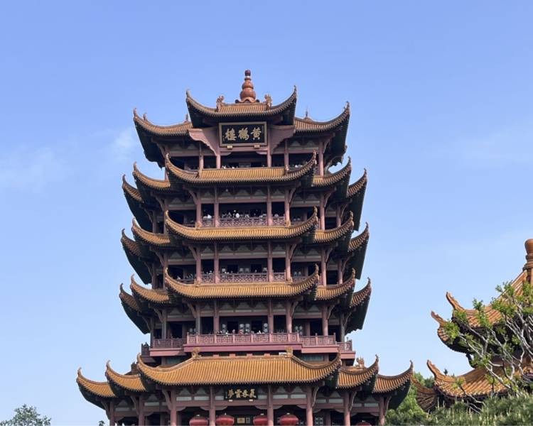艺人背景图