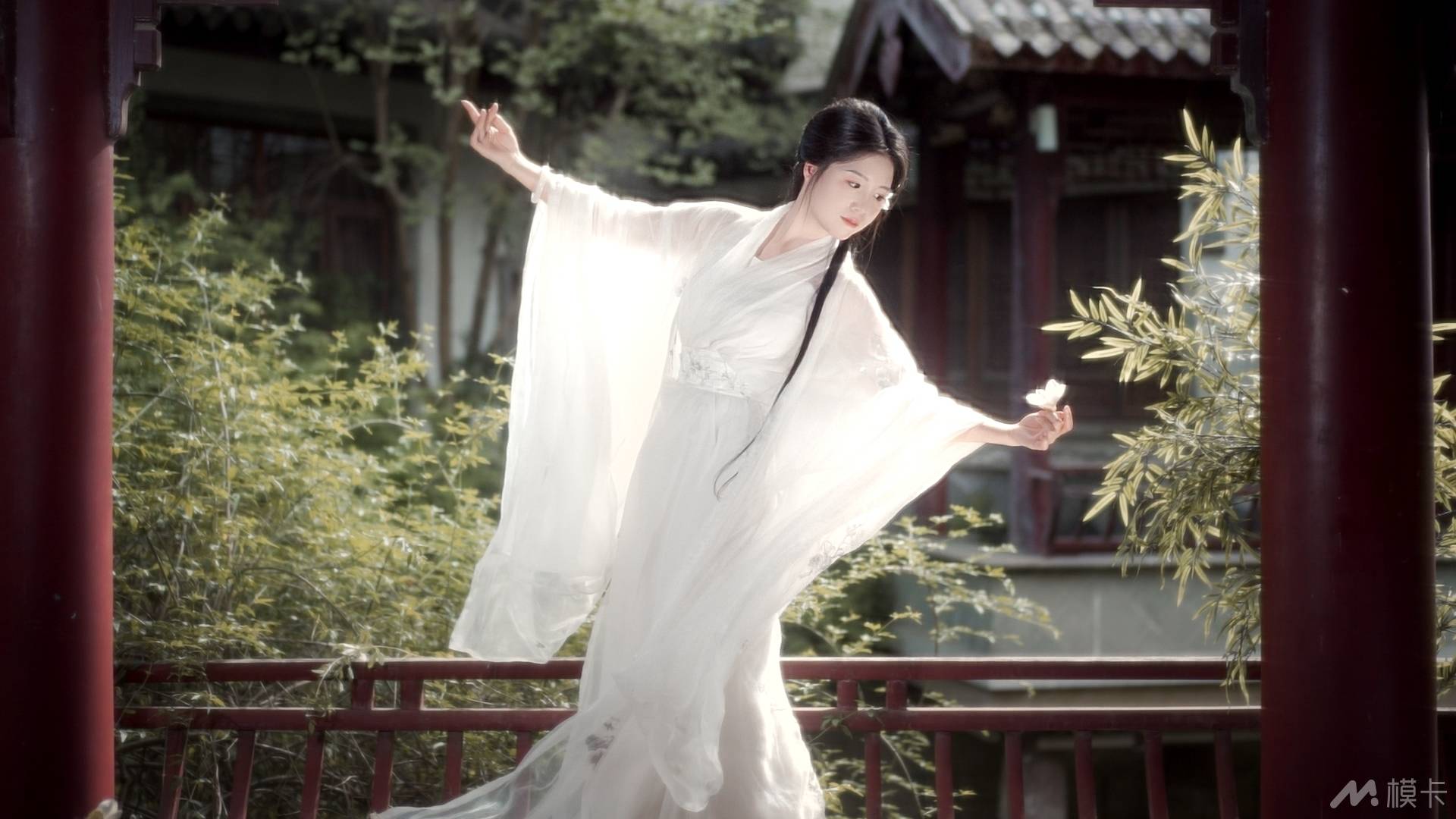 作品图片
