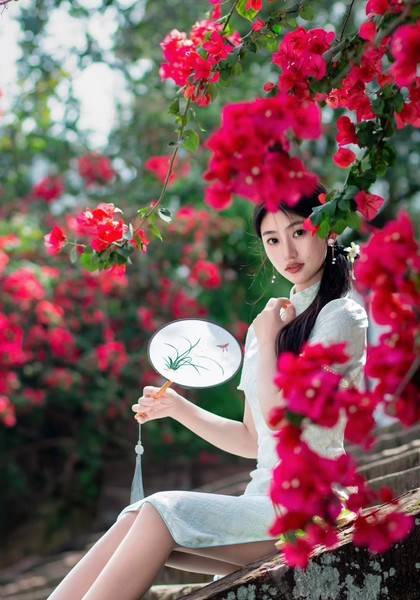 形象照片
