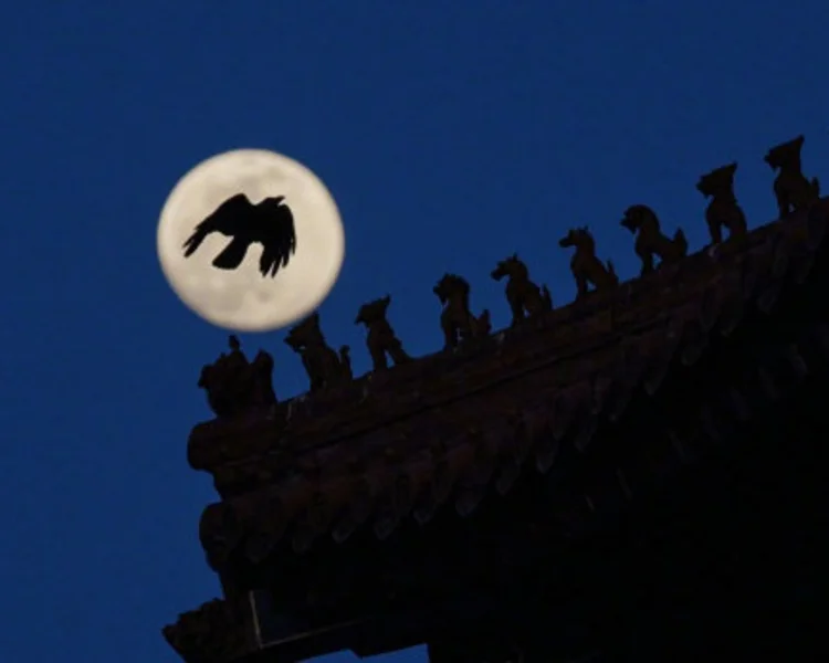 艺人背景图