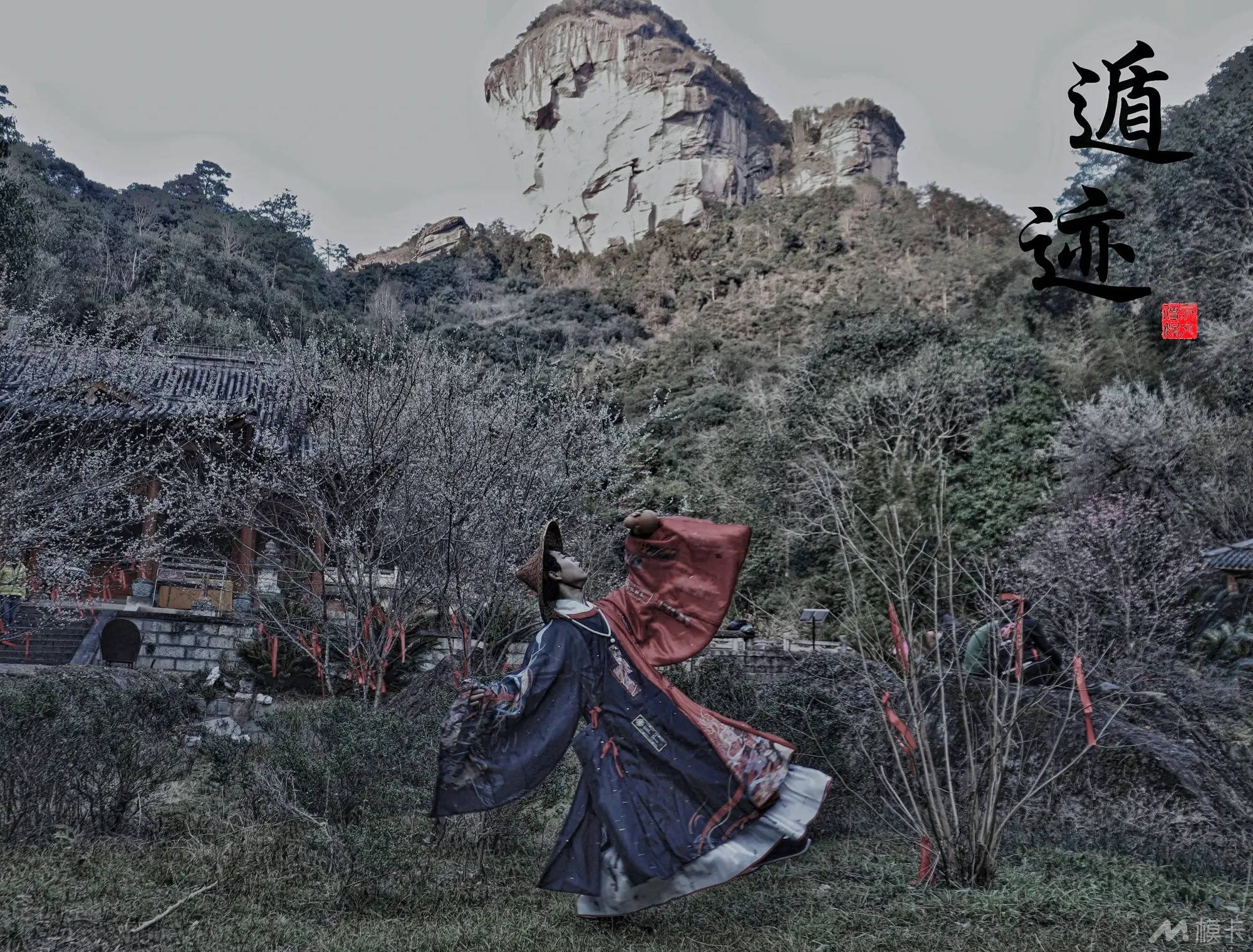 作品图片
