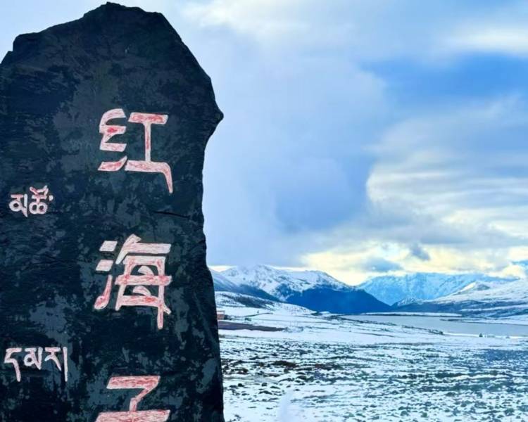 艺人背景图