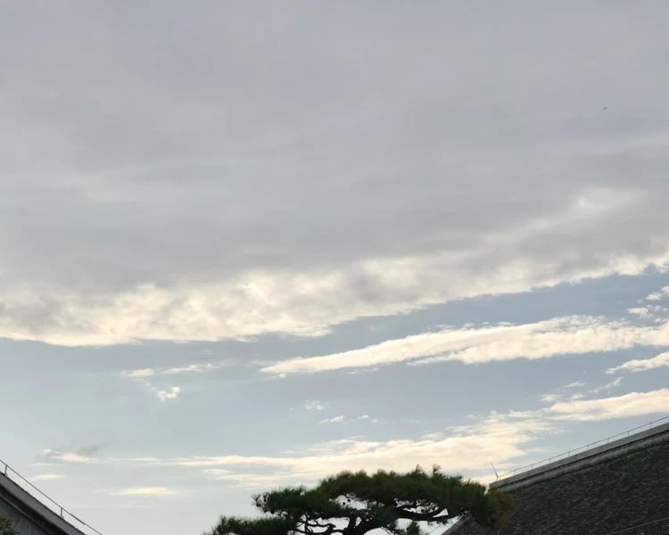 艺人背景图