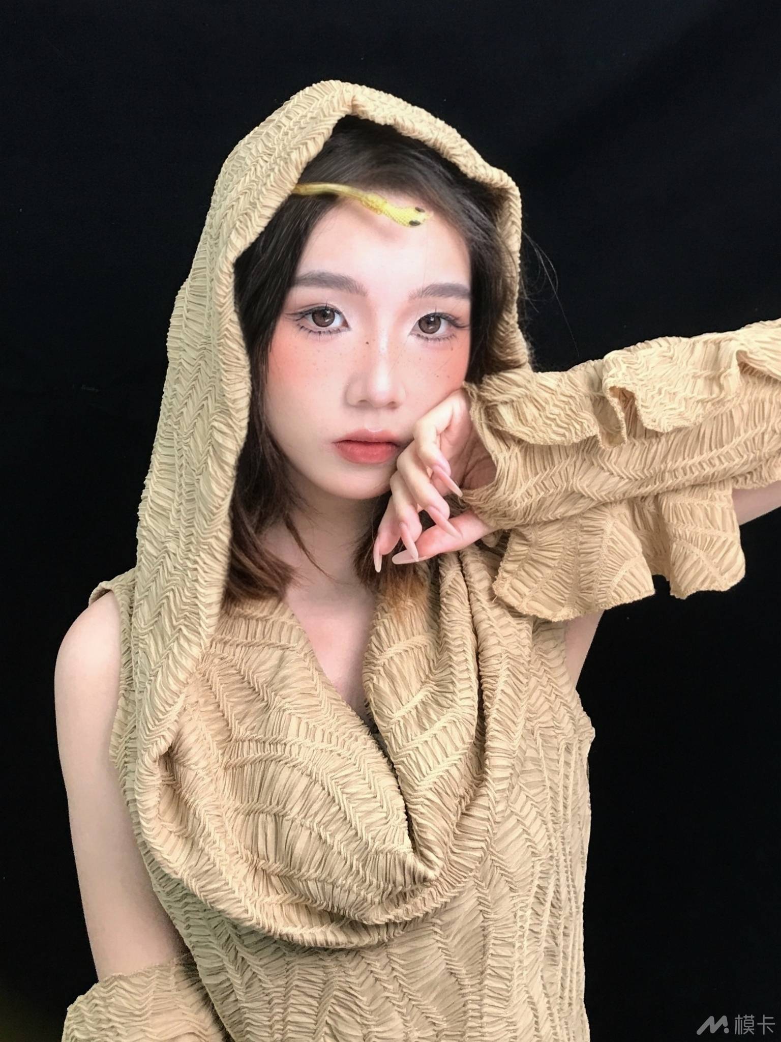 作品图片