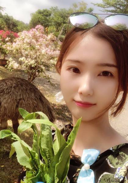 推荐艺人