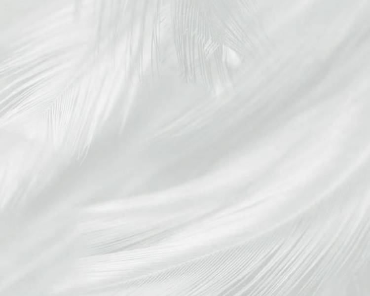 艺人背景图